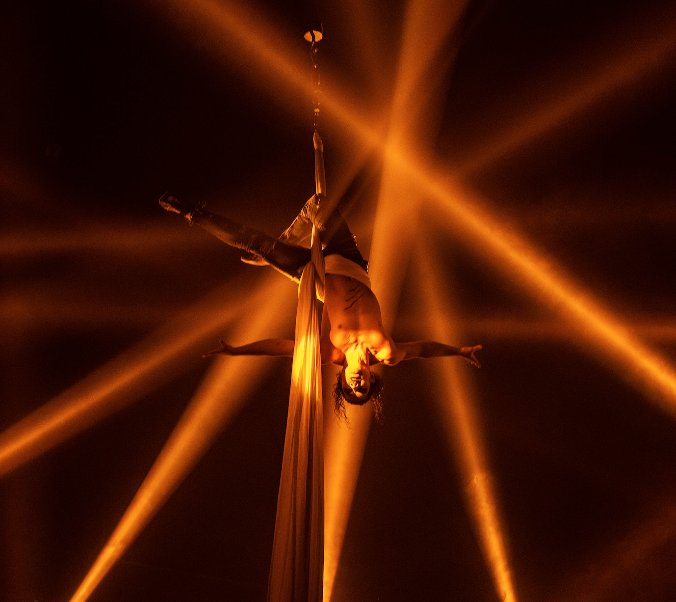 Paranormal Cirque